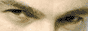 88x31.gif