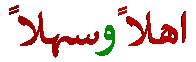 websitenow.gif