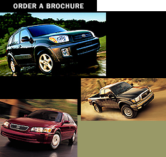 brochorderpg_images.jpg