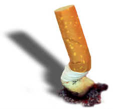 crushedcig.jpg
