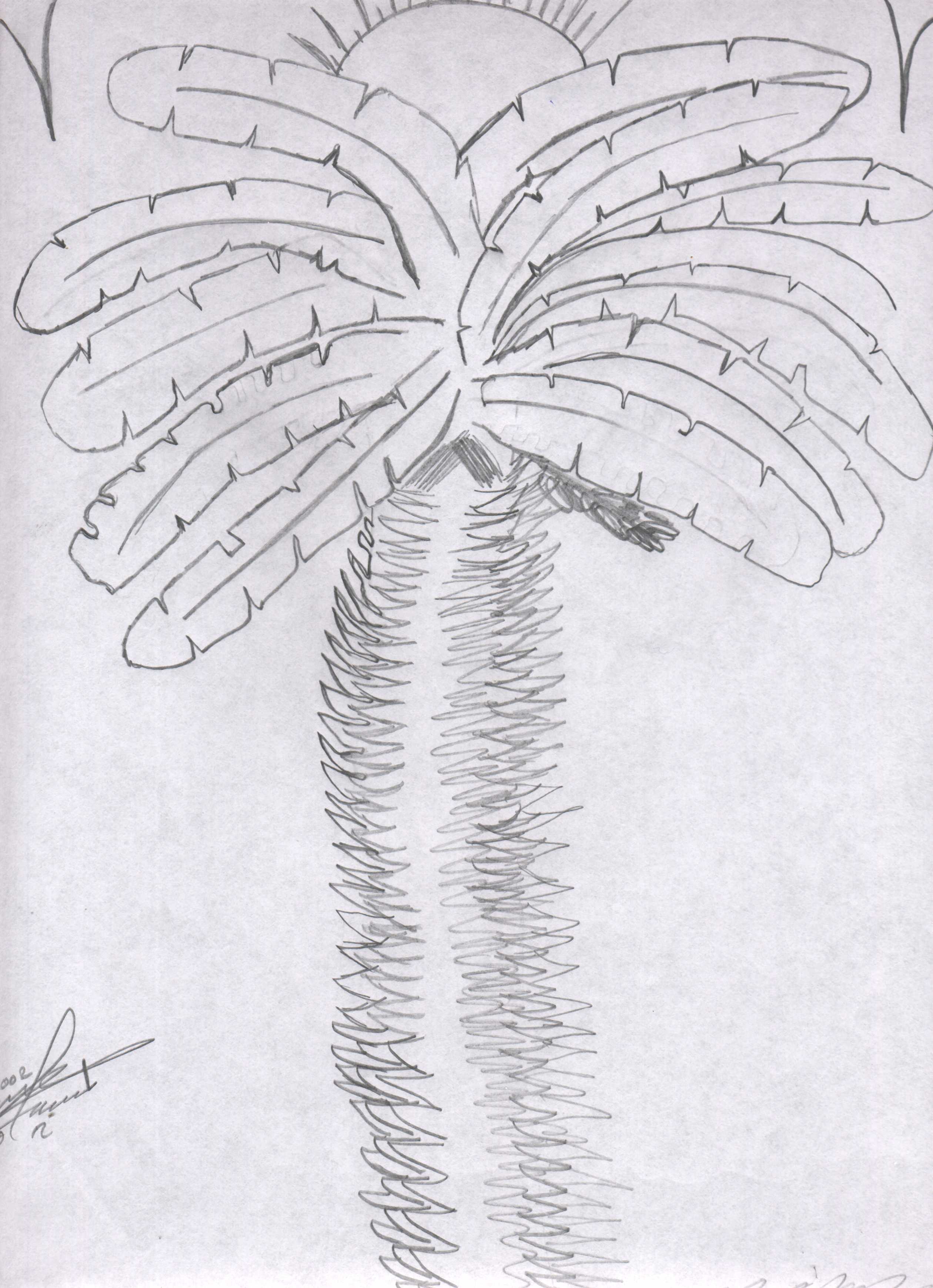 semococorosom2.jpg